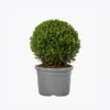 product-image-4_optimized Ceiling Dehumidifier
