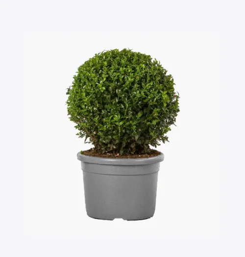 product-image-4_optimized Ceiling Dehumidifier